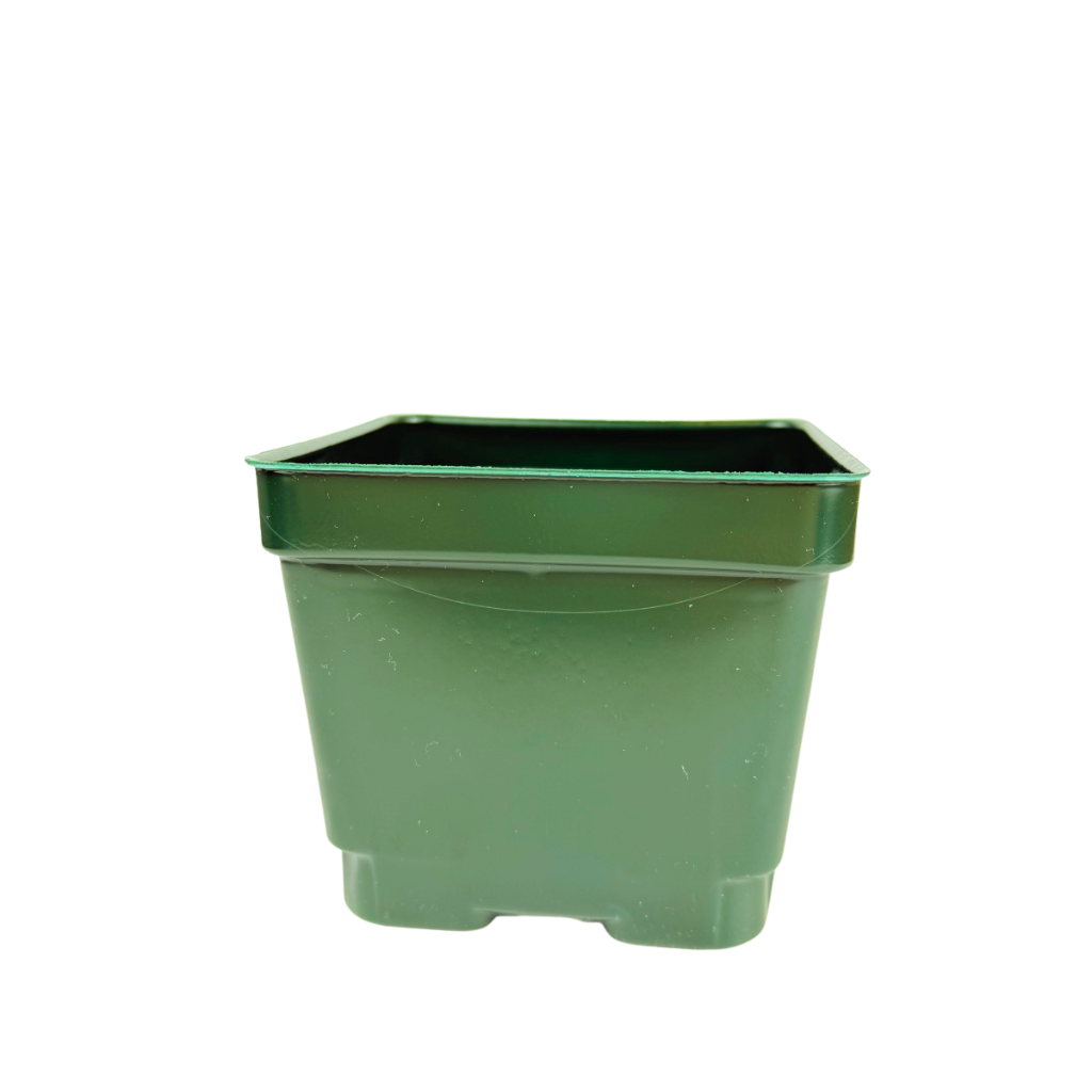 4.25" Black Square Pots - P107