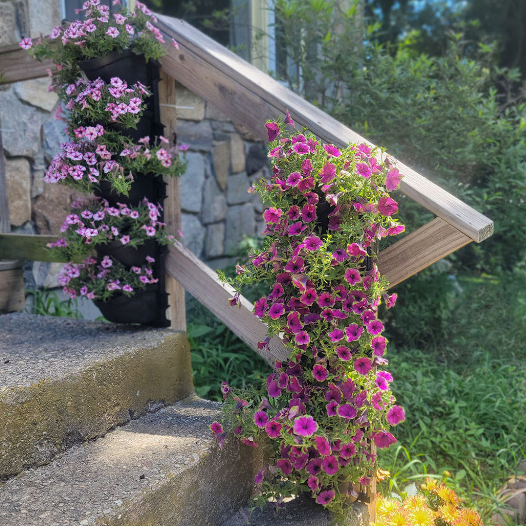 20 hanging planter AgroSci GardenWall Kit - 20 Pot Design