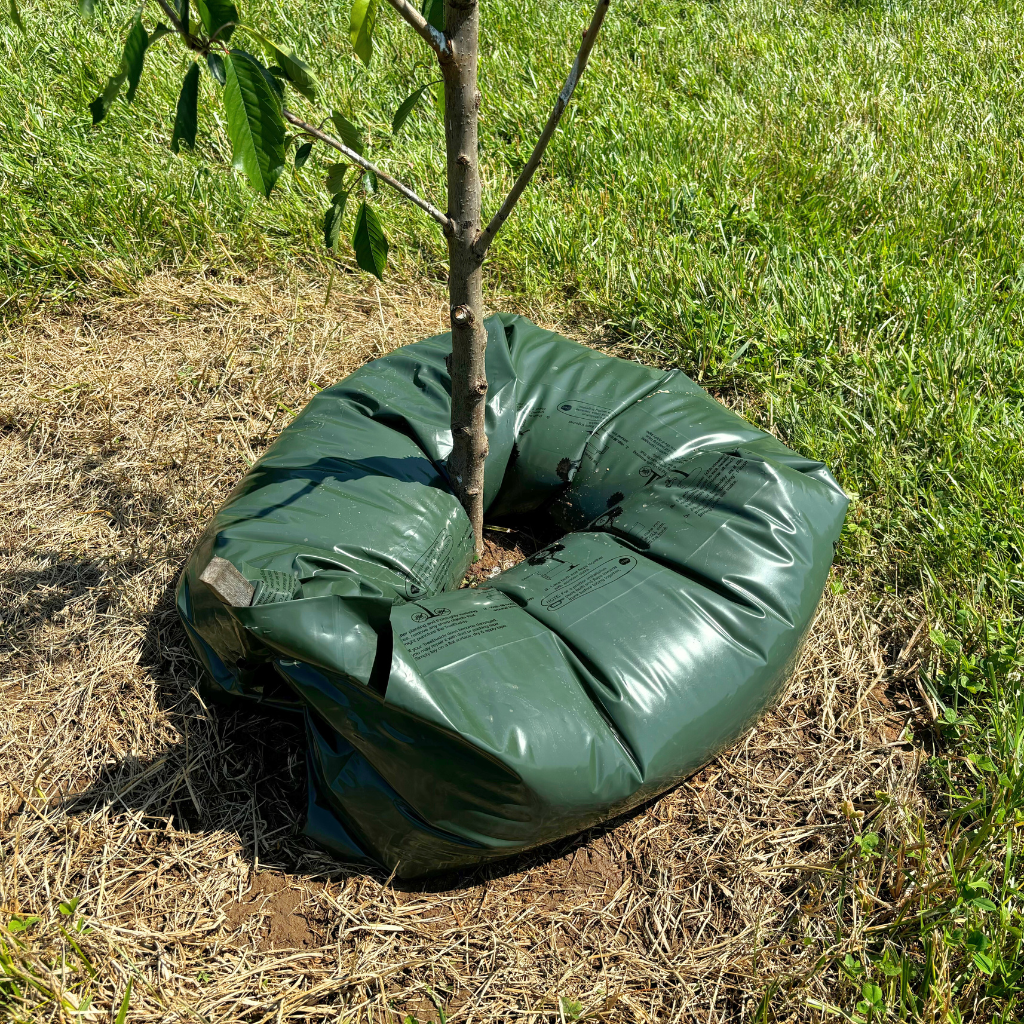 TreeBuddy 45 Gallon - Case of 15