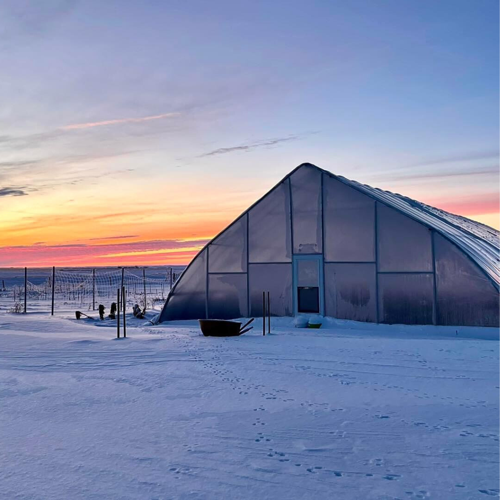 30&#39; Glacier Greenhouse Kit