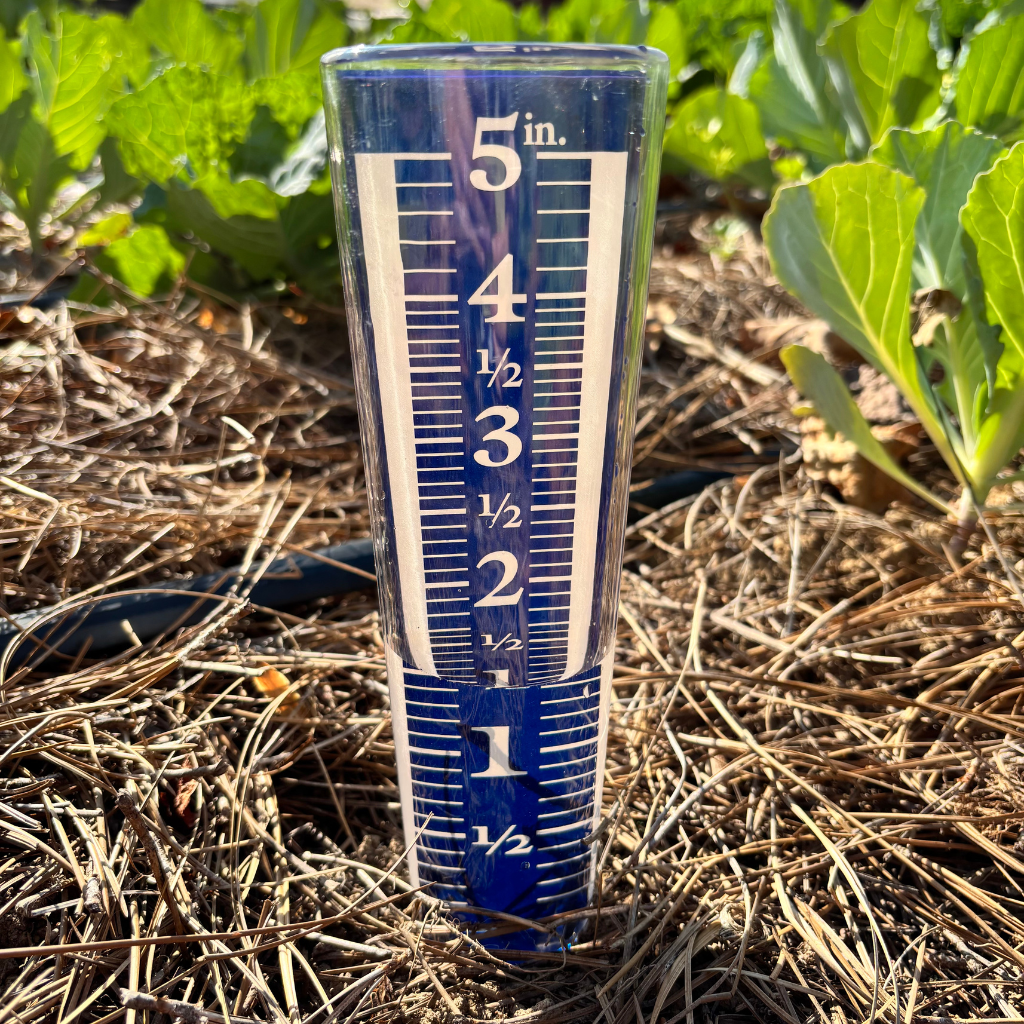 Rain Gauge