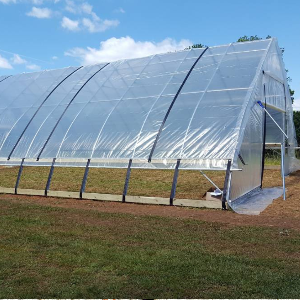 Greenhouse vent configuration showing sidewall roll-up vent and