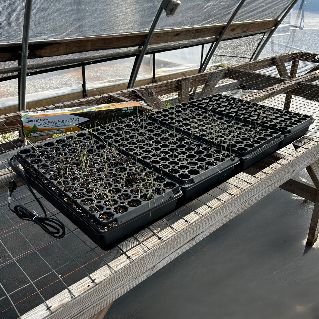 4 Tray Seedling Heat Mats