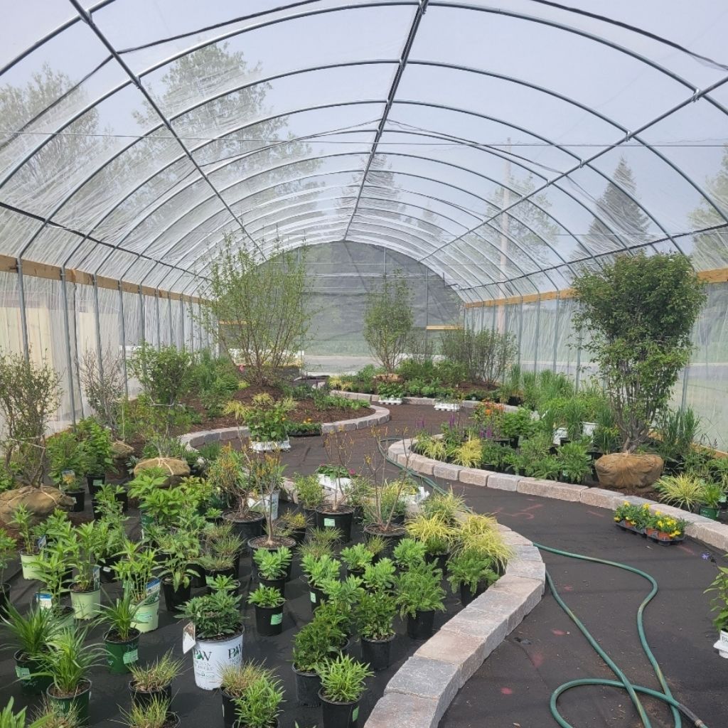 greenhouse for plants indoor 24' High Sidewall Greenhouse Kit