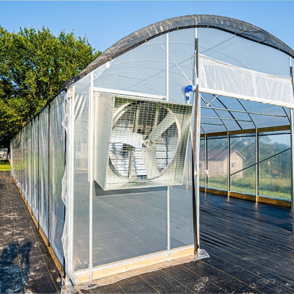 large Exhaust Fan in green house.