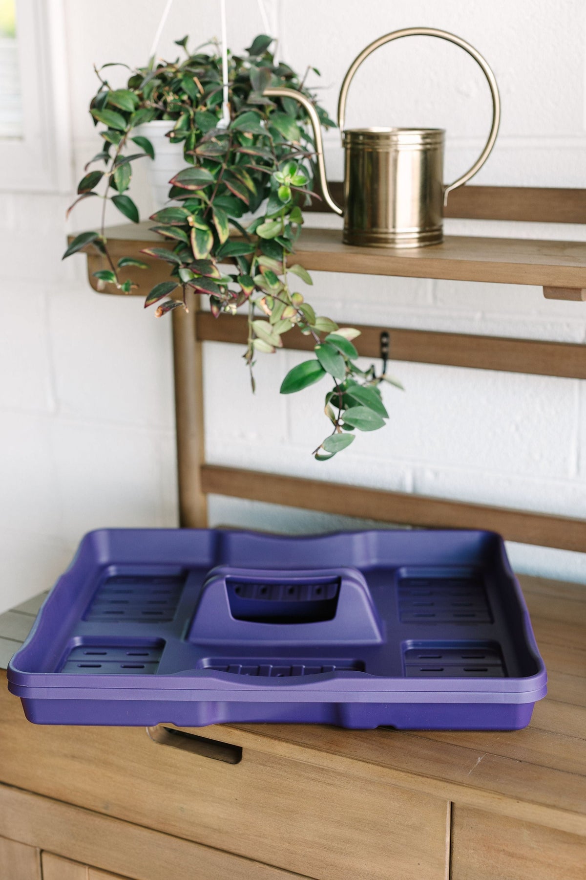 GreenStalk Carrier + Water Tray | Blackberry 