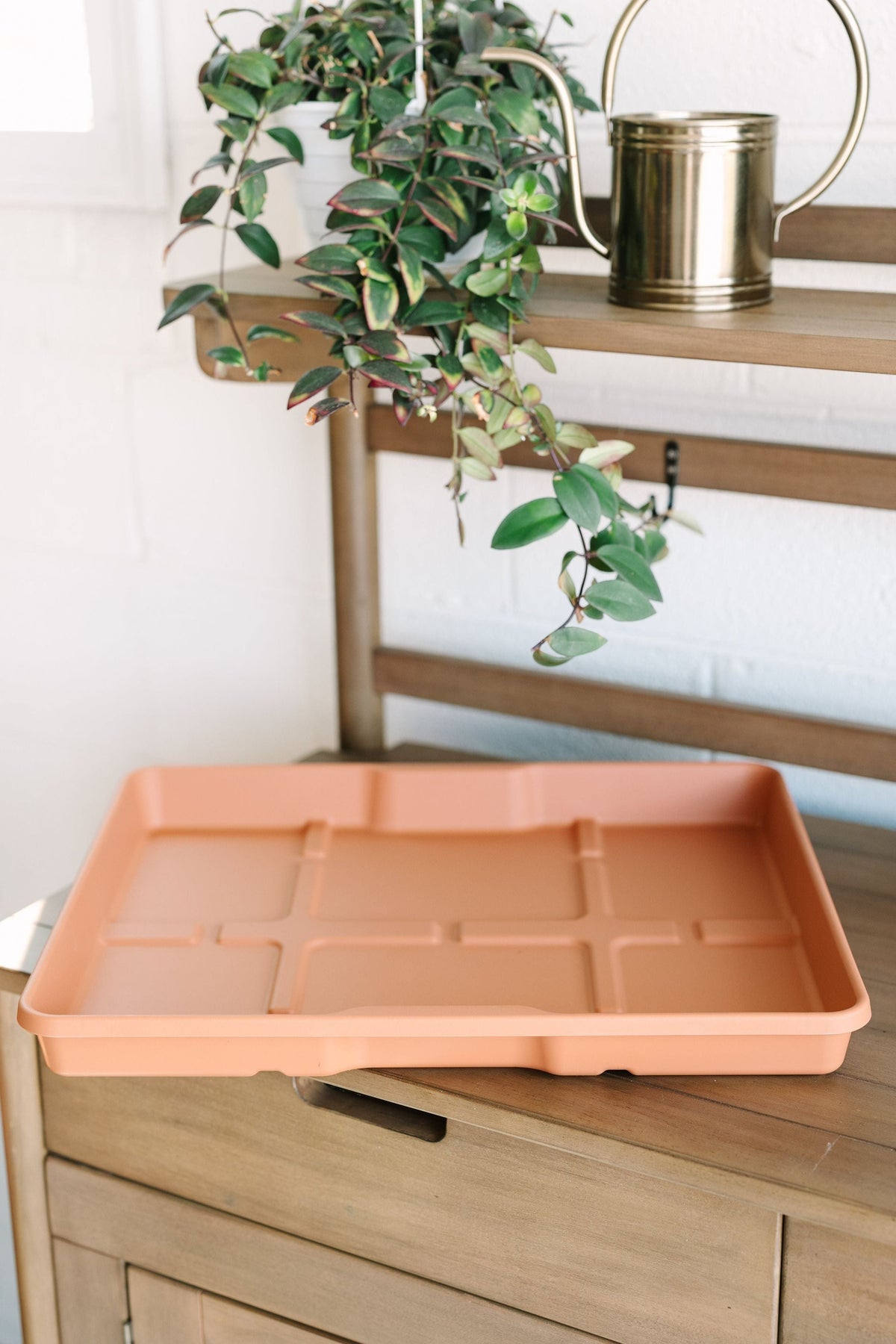 GreenStalk Carrier + Water Tray | Classic Terracotta 