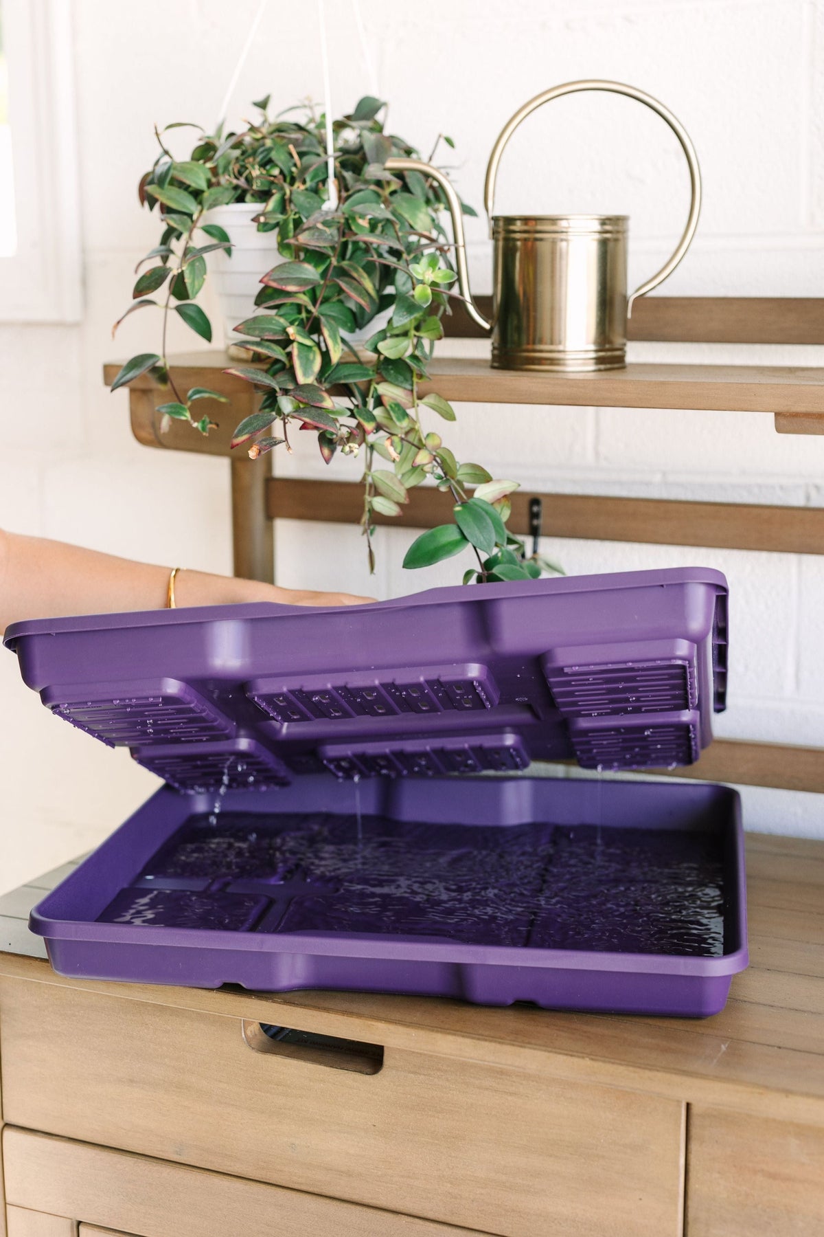 GreenStalk Carrier + Water Tray | Blackberry 