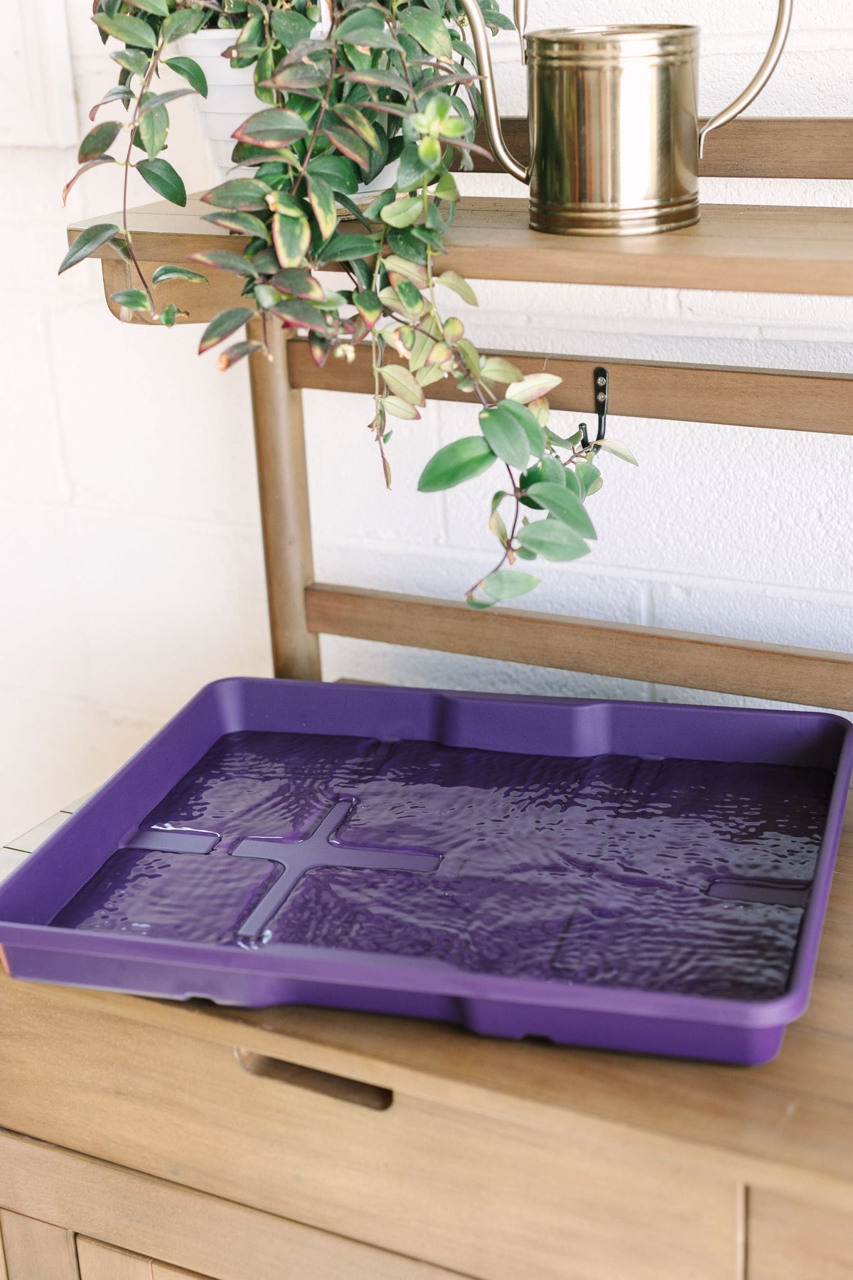 GreenStalk Carrier + Water Tray | Blackberry 