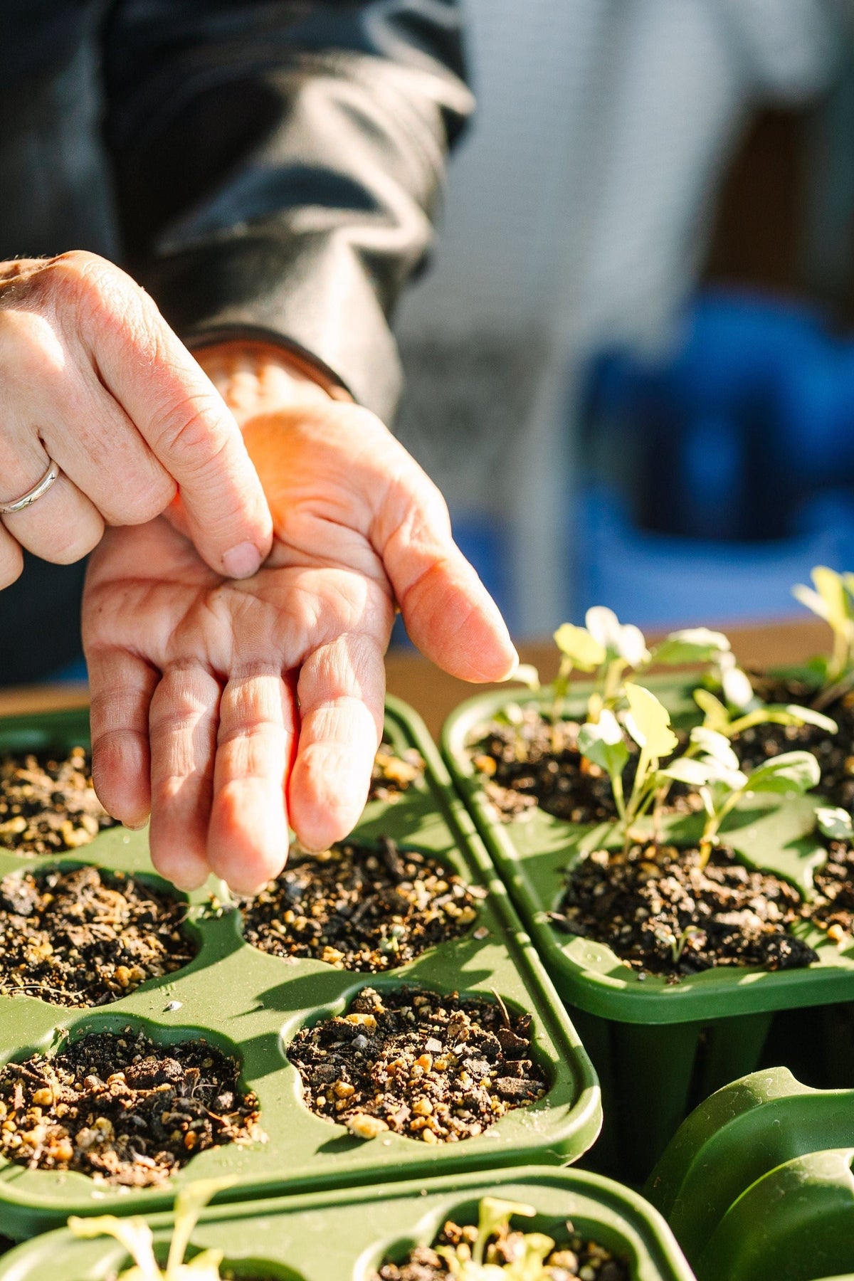 GreenStalk Seed Starter Kit with Domes | Evergreen 