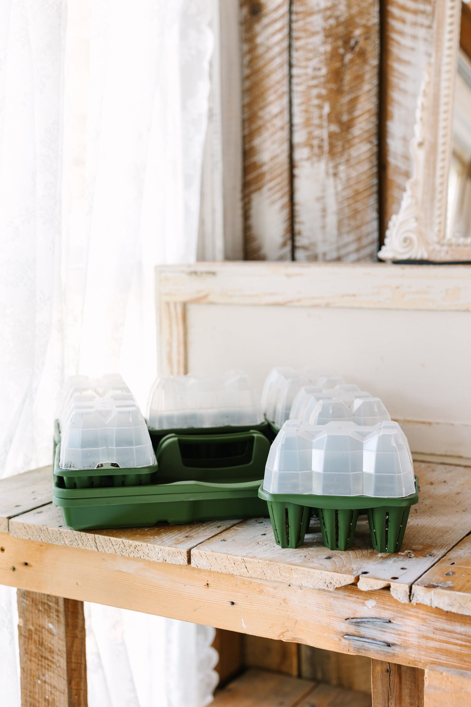 GreenStalk Seed Starter Kit with Domes | Evergreen 