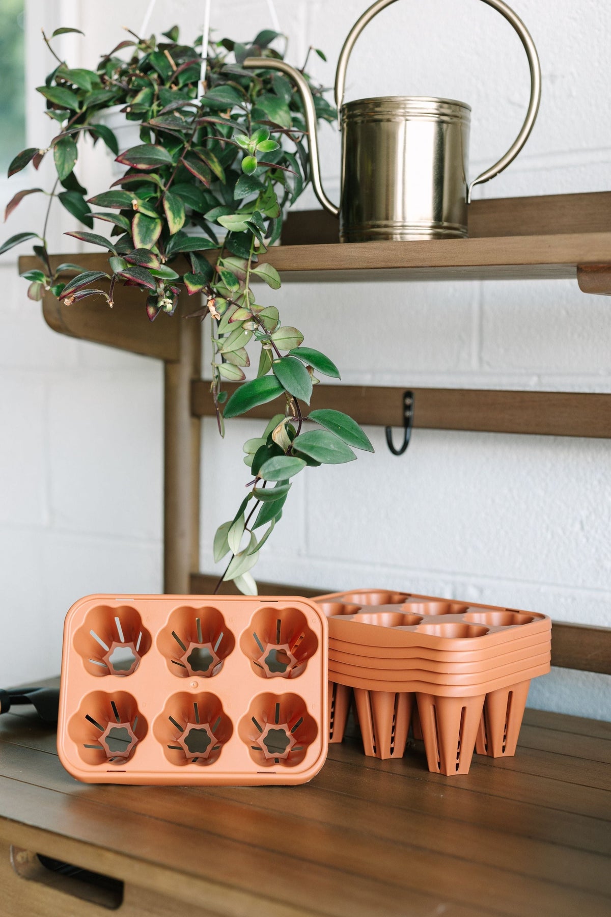 GreenStalk Set of 6 Individual Seed Starters | Classic Terracotta 