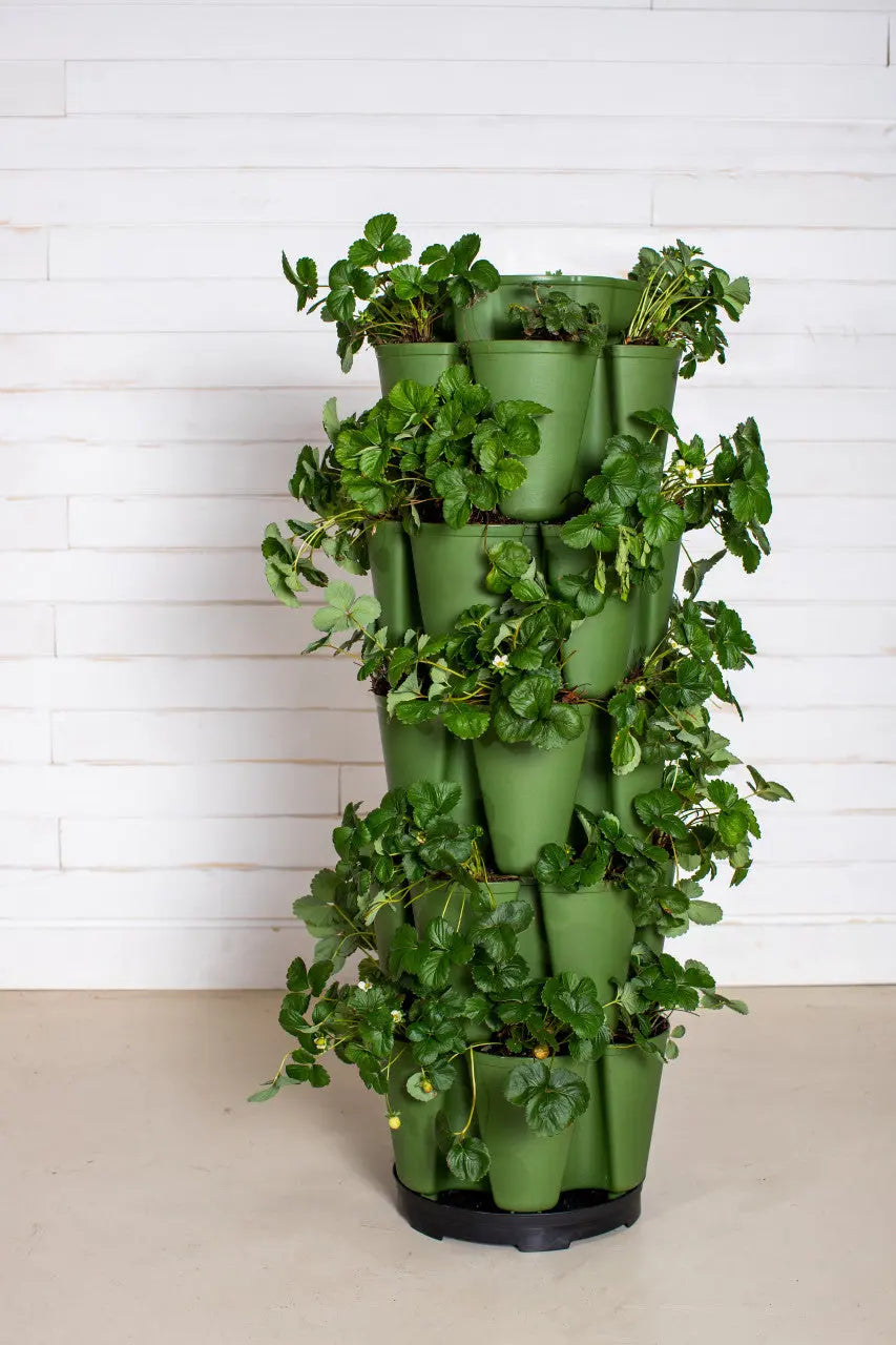Greenstar 10720 Enclume pré-calibrée pour chaîne | WhichOne Greenstar 10720 Enclume pré-calibrée pour chaîne | WhichOne