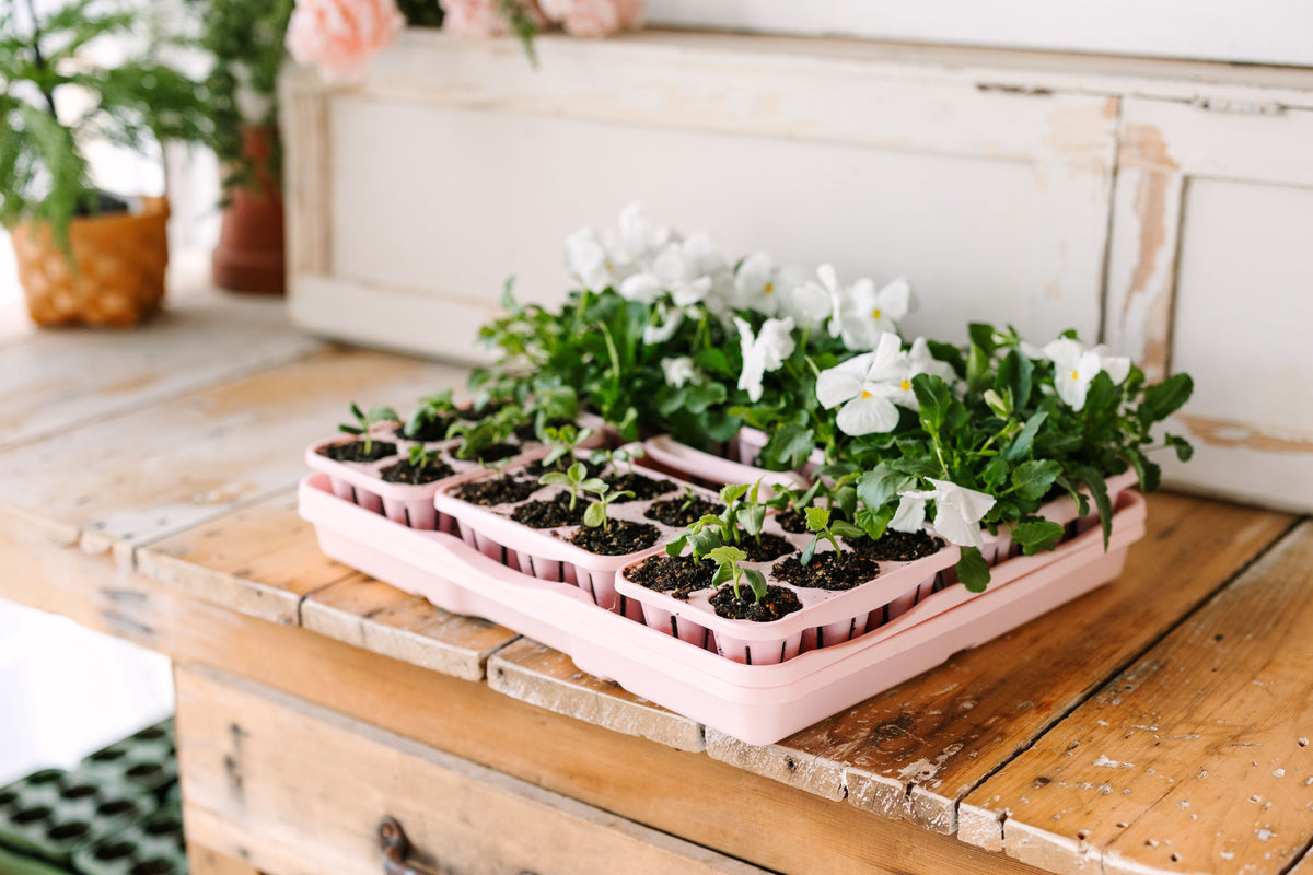 GreenStalk Seed Starter Kit