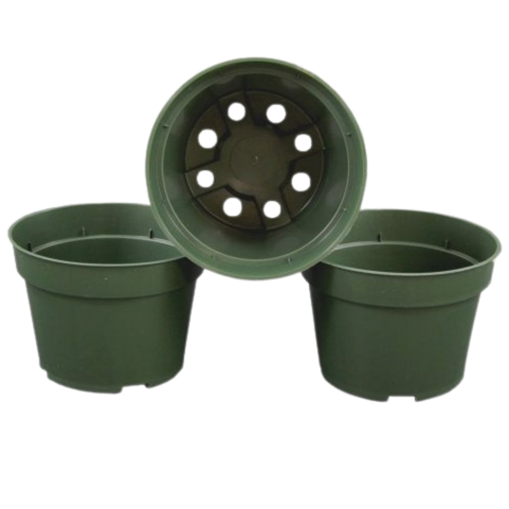 6 Azalea Pots - Grower's Solution