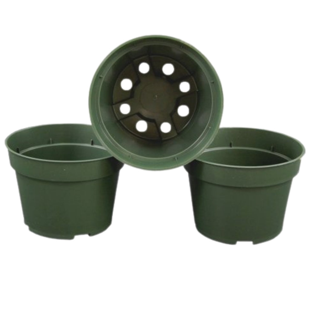 plastic plant pots 8 inch 8" Azalea Pots