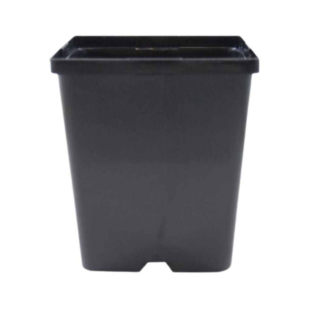 1.5 liter plant pot 5.5" x 6" Jumbo Square Deep Greenhouse Pots