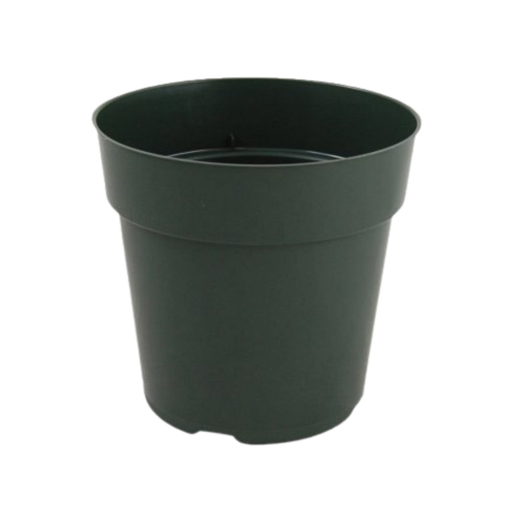standard sizes of plant pots 6" Standard Pots