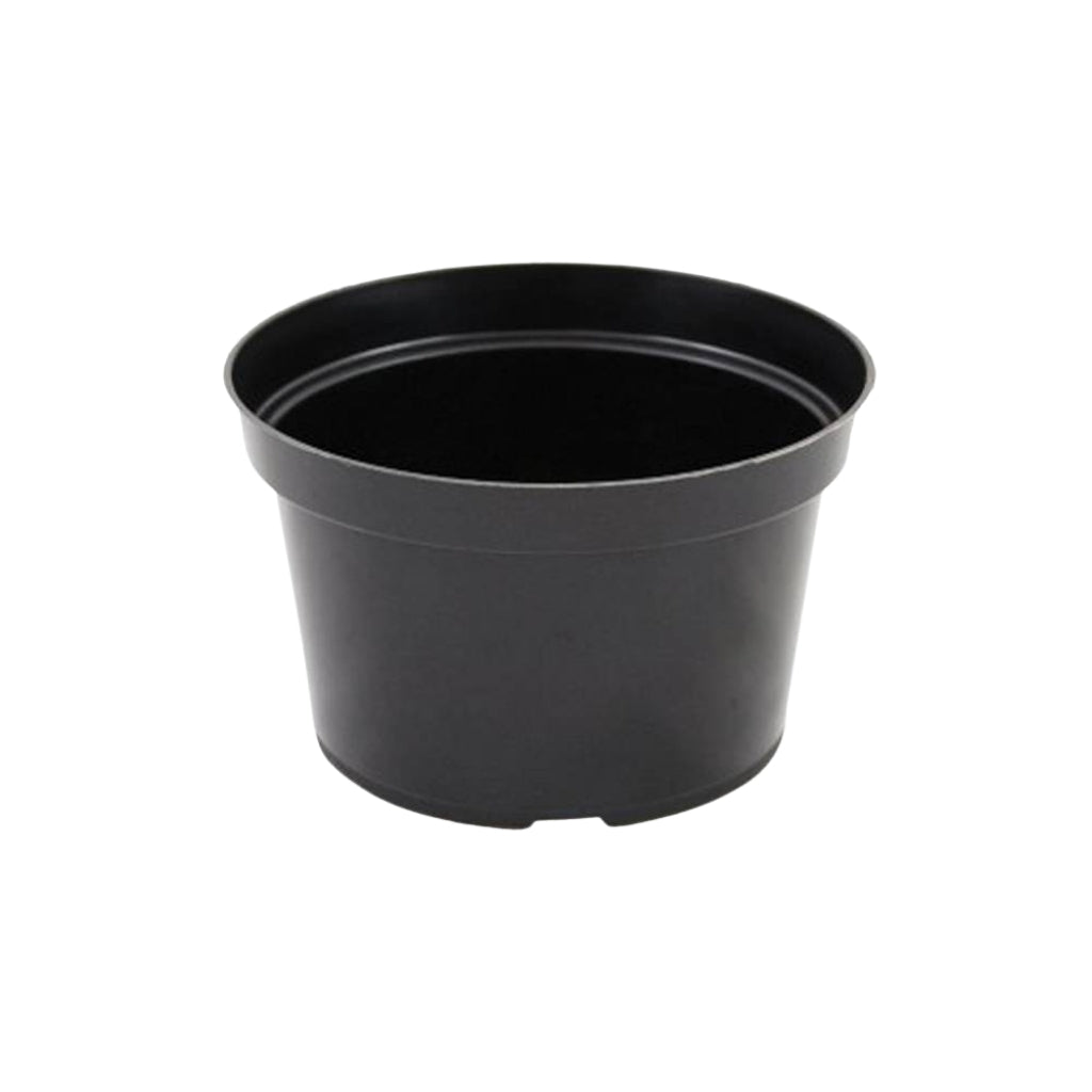 8&quot; x 5&quot; Black Mum Pots - 150 Per Case
