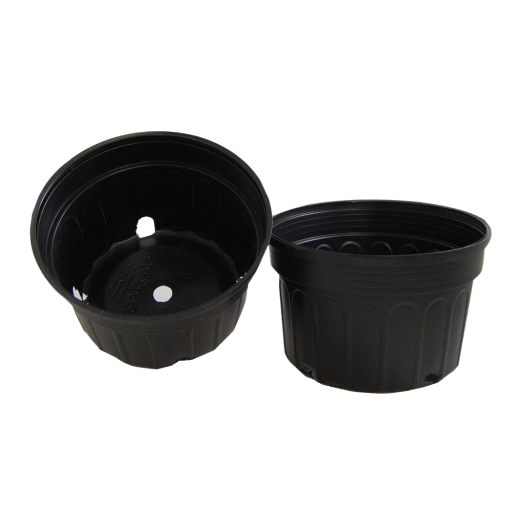 5 inch plastic pots for plants 8 x 5 inch Black Mum Pots