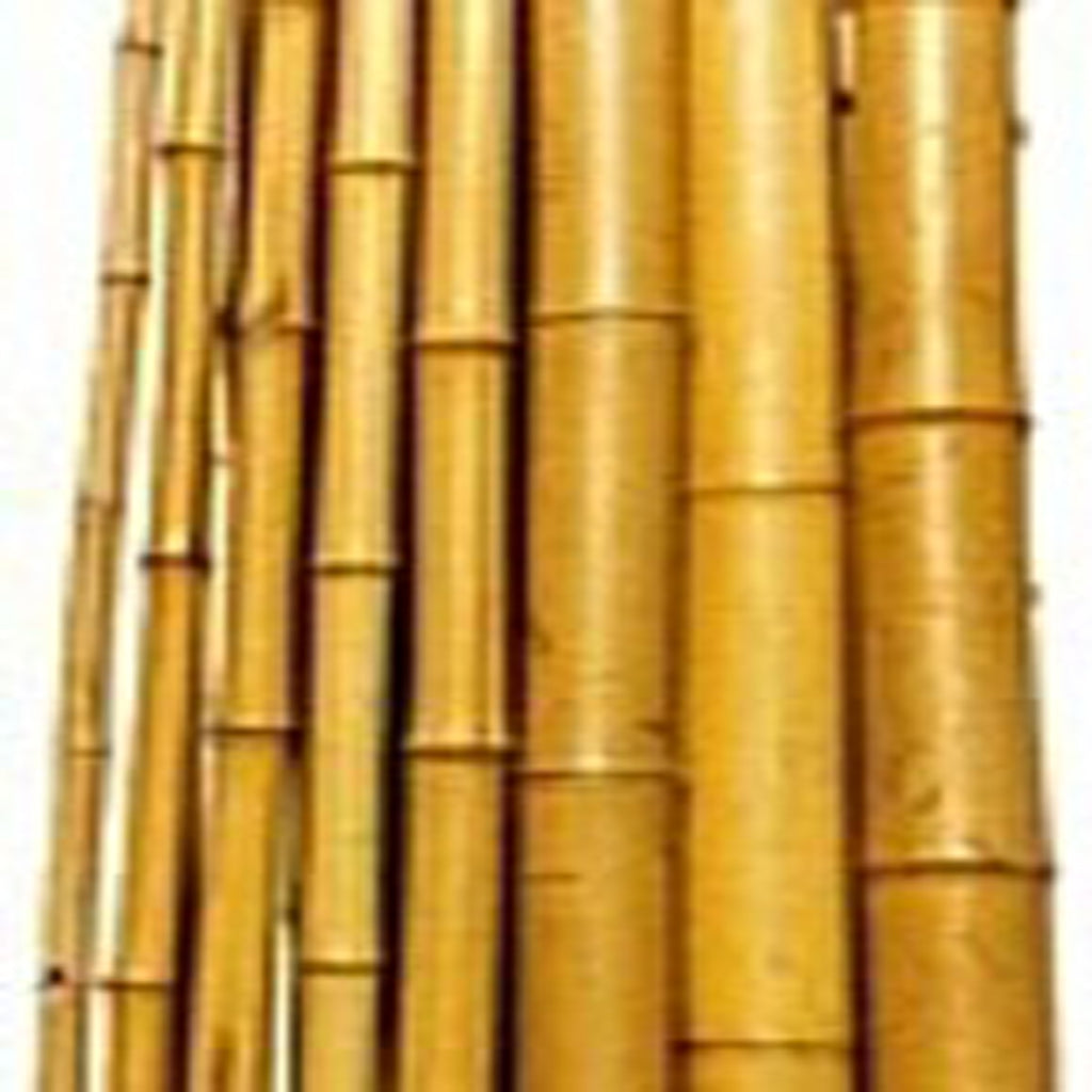 Natural Bamboo Garden Stakes / Canes Small Sizes