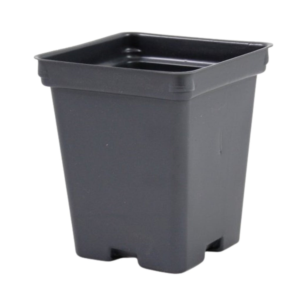 4.25" Black Deep Square Greenhouse Pots - P107D