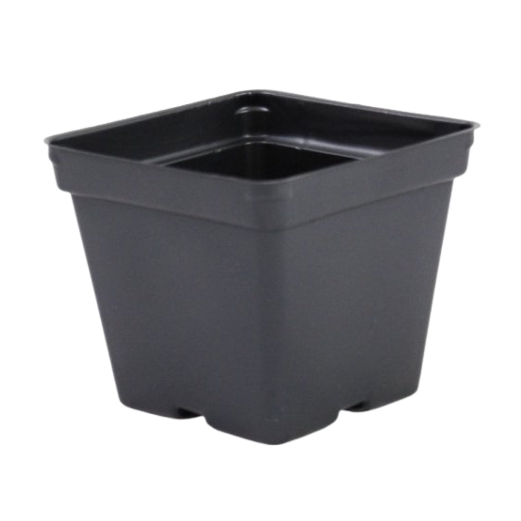 4.25" Black Square Greenhouse Pots - P107