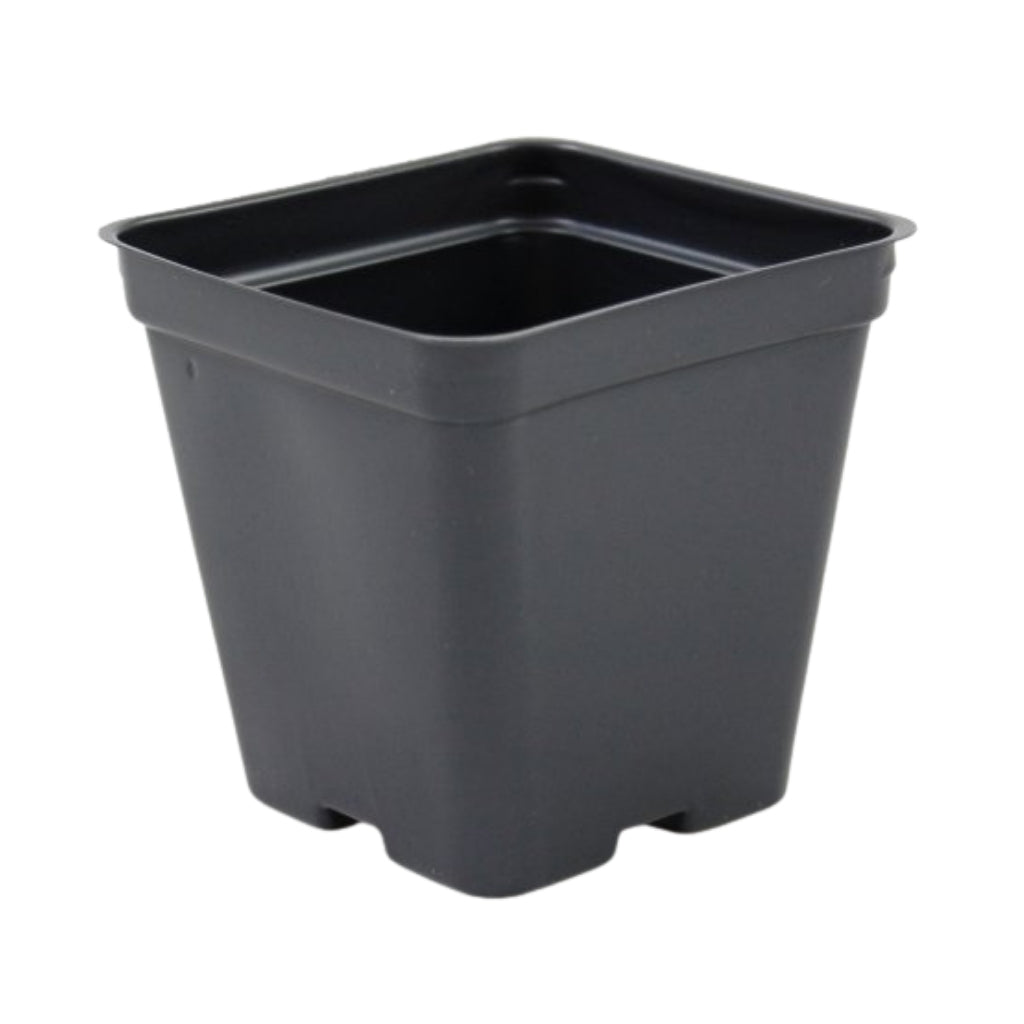 3.5 Black Square Greenhouse Pots - P86 - Grower's Solution