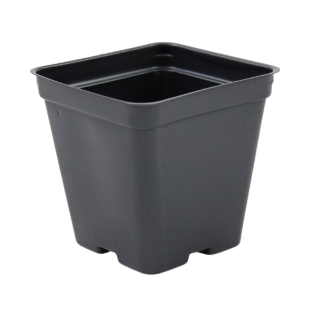 small black plastic pots for plants 3.5" Black Square Pots - P86