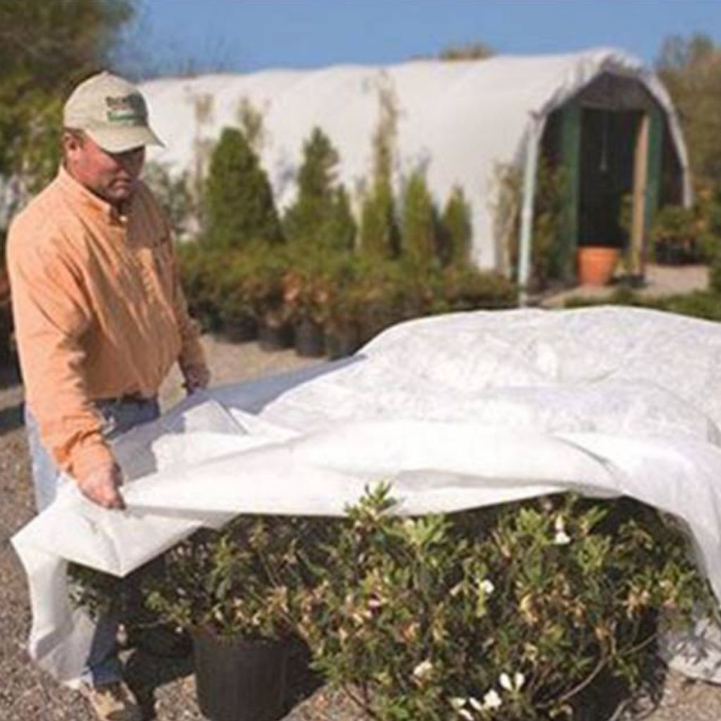 blanket application of herbicide Dewitt's Ultimate Thermal Blanket - (2.5 OZ) Crop Protection & Over-Winterized Fabric