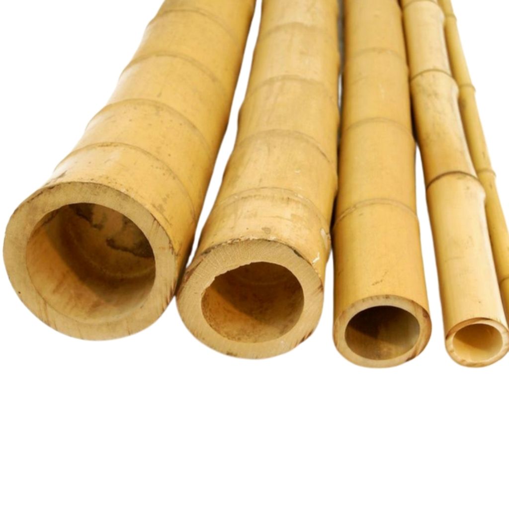 Natural Bamboo Garden Stakes / Canes Large sizes