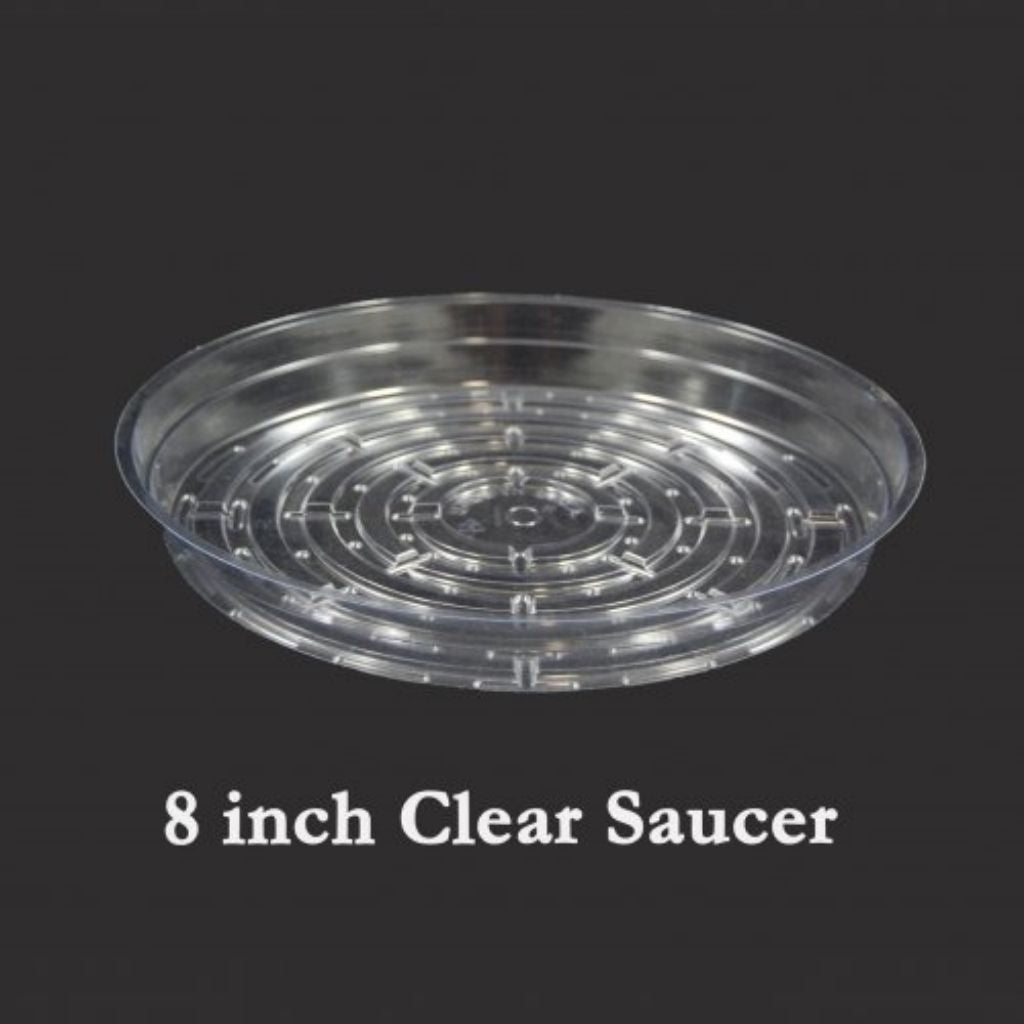 8" Clear Vinyl Plant Saucers - Curtis Wagner
