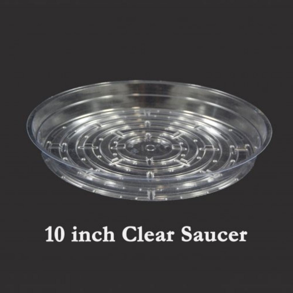 10" Clear Vinyl Plant Saucers