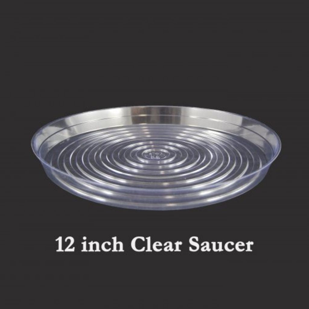 12&quot; Clear Vinyl Plant Saucers - Curtis Wagner