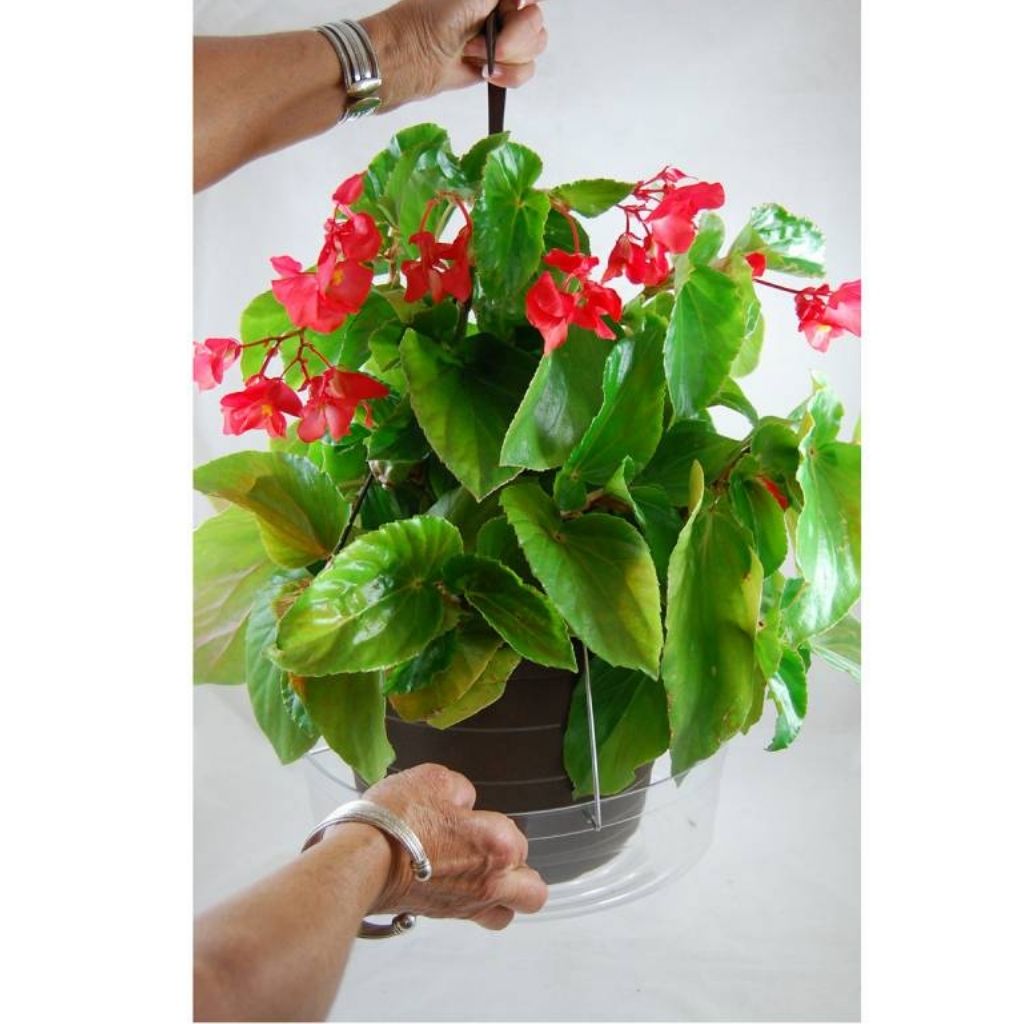 hanging plant drip tray Large Hanging Basket Drip Pan - 12 Inch