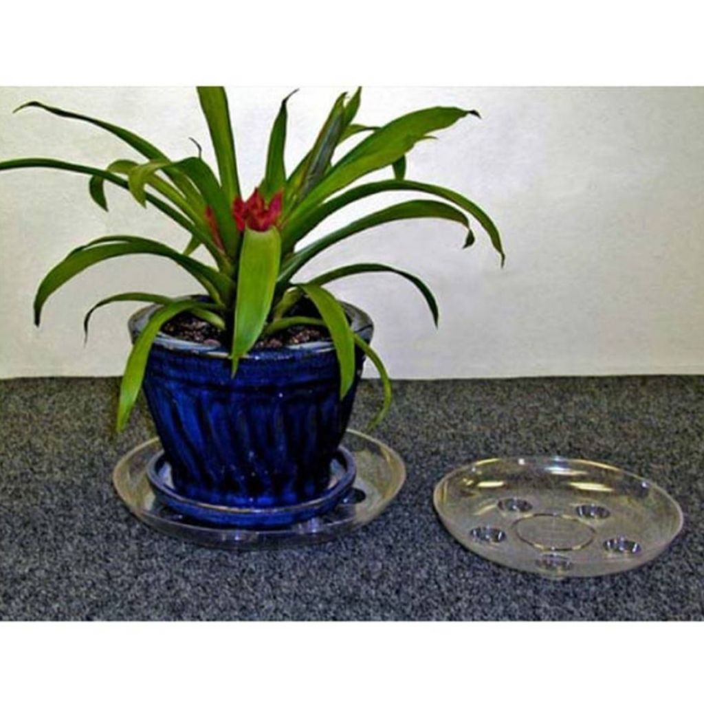 potted plant saucers 12" Clear Carpet Saver Plant Saucers - Curtis Wagner
