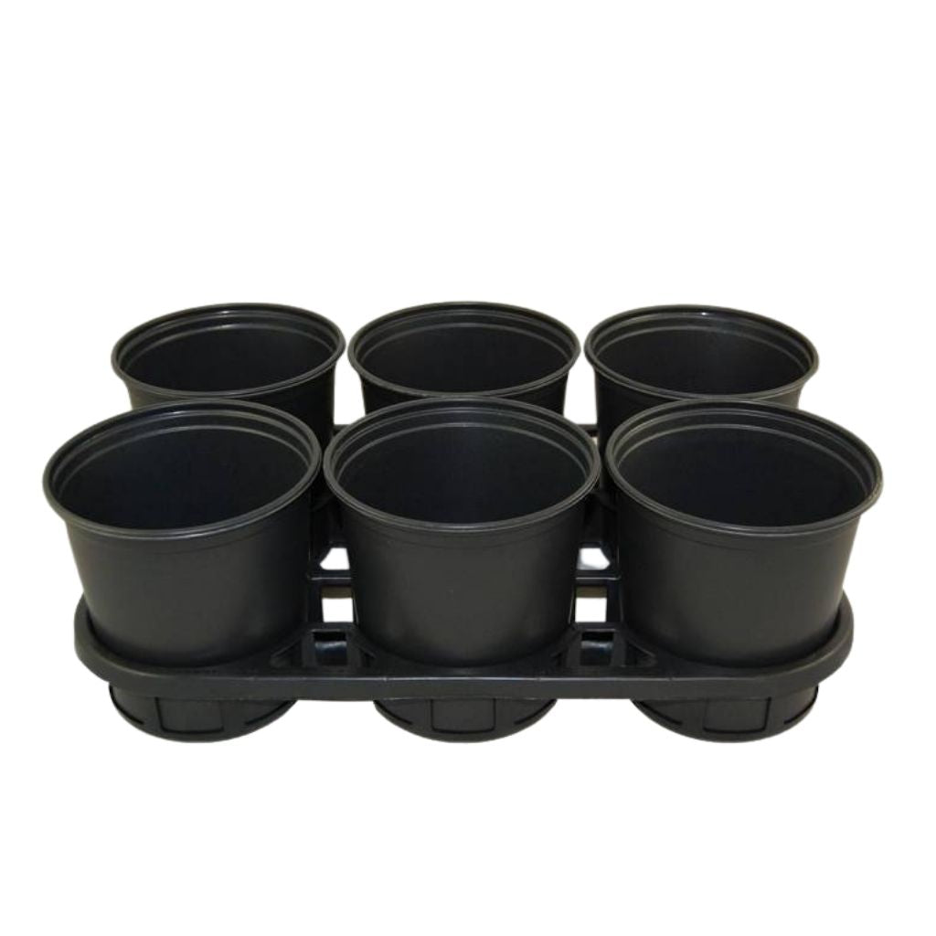 trays to go under plant pots Thermoform One Gallon Shuttle Pot Carry Tray