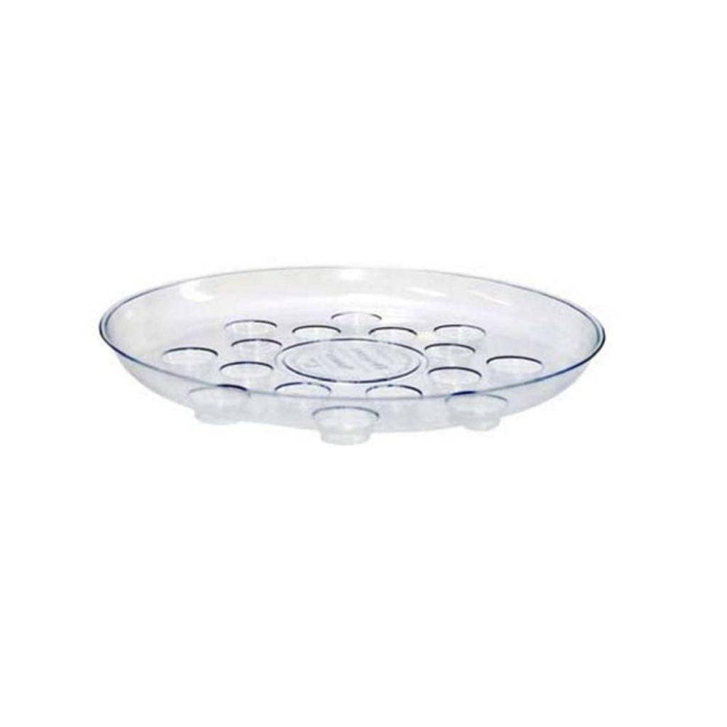 12&quot; Clear Carpet Saver Plant Saucers - Curtis Wagner