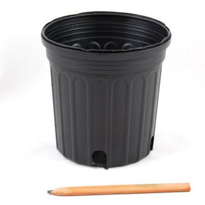 2 gallon planter pot 2 Gallon Trade Black Nursery Pots
