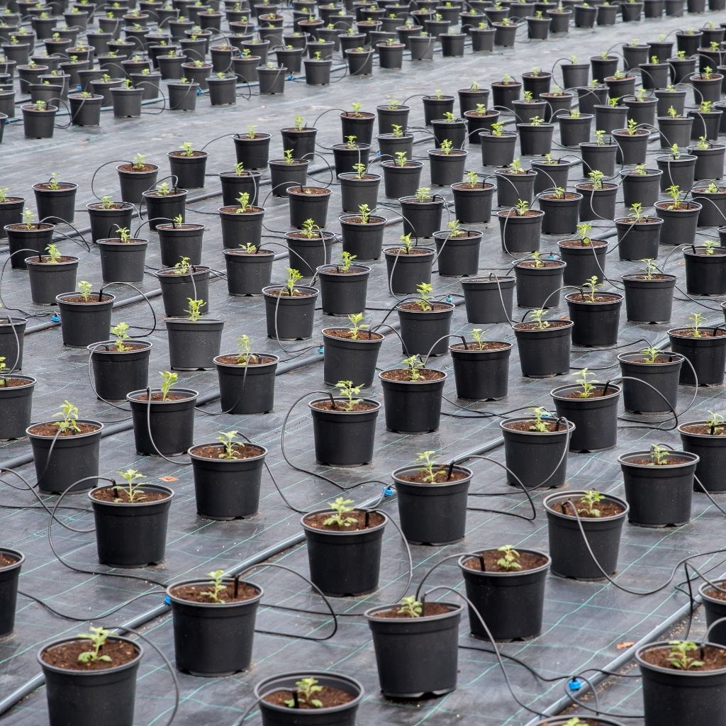 house plant soil cover Polypropylene Woven Ground Cover