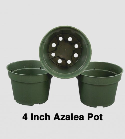 4 inch Azalea Pots - 50 Count