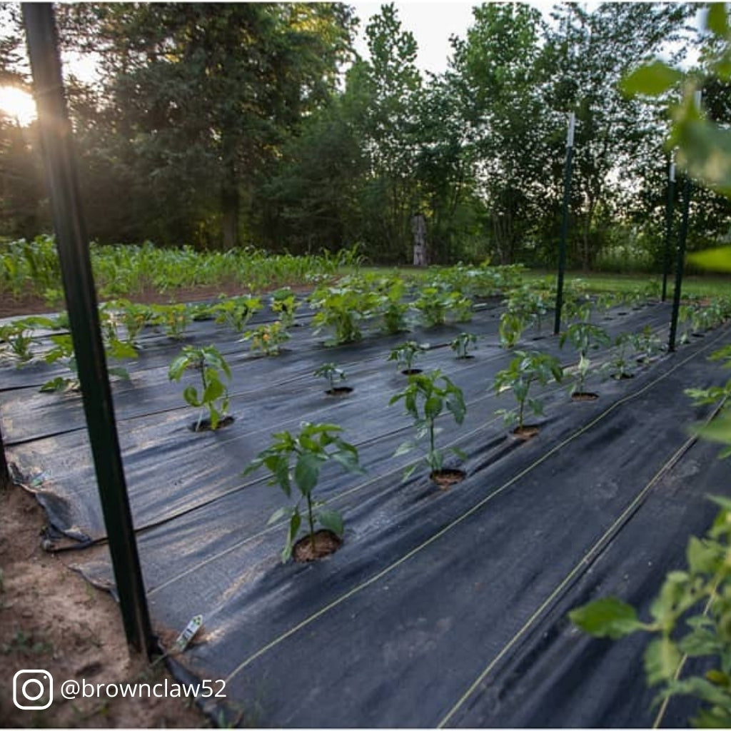 plastic to cover plants Polypropylene Woven Ground Cover
